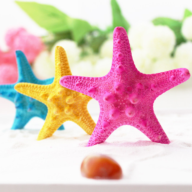 天然小霸王海星贝壳海螺地中海家居装饰墙贴女礼物拍摄海螺