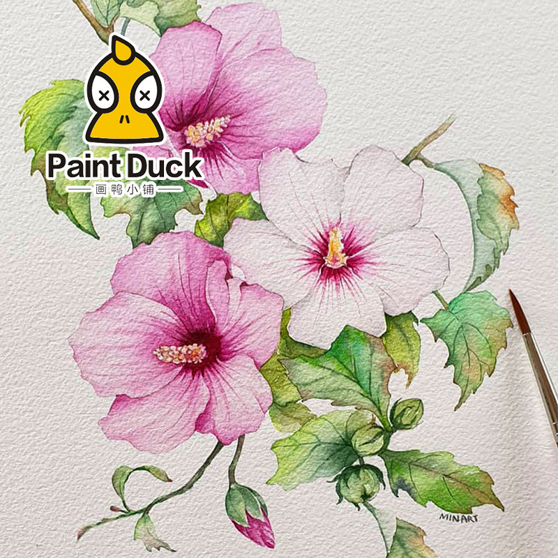 画鸭花卉植物水彩线稿临摹草稿本水彩纸填色水彩颜料