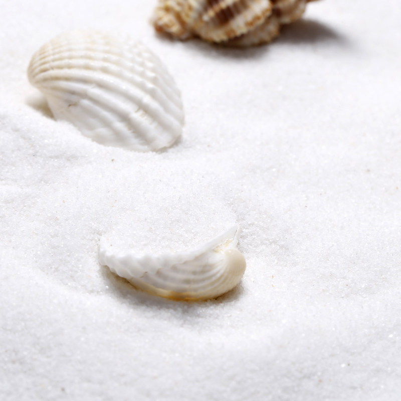 白色沙子500克颗粒小颗沙石造景白沙石石英砂细沙细沙