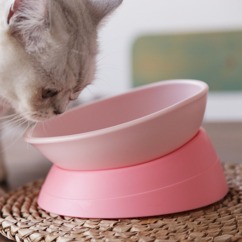 猫碗肥喵日记加菲猫扁脸猫粮碗食盆餐碗增高水碗碗