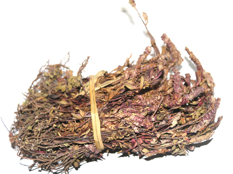 云南文山土特产紫苏凉茶凤尾野生山茶毛茶500克养生茶