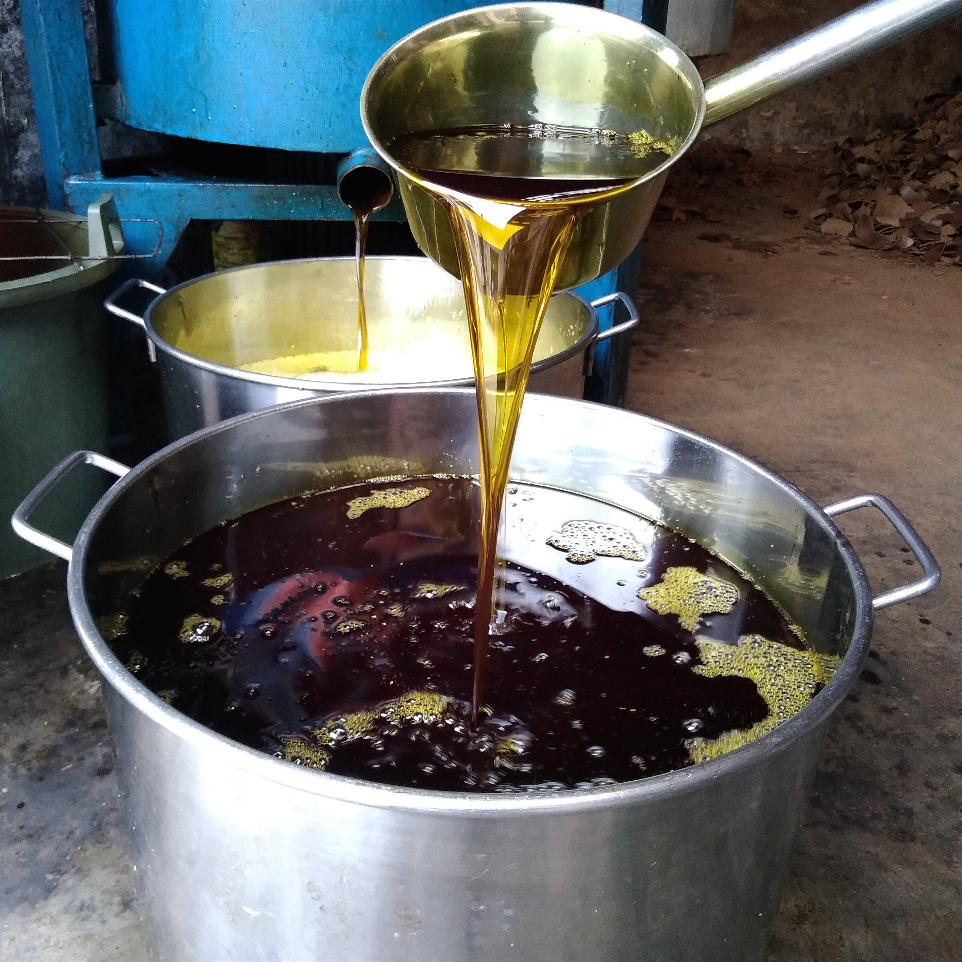 纯正陕西安康菜籽油3斤压榨菜油农家自榨5l10其它干货