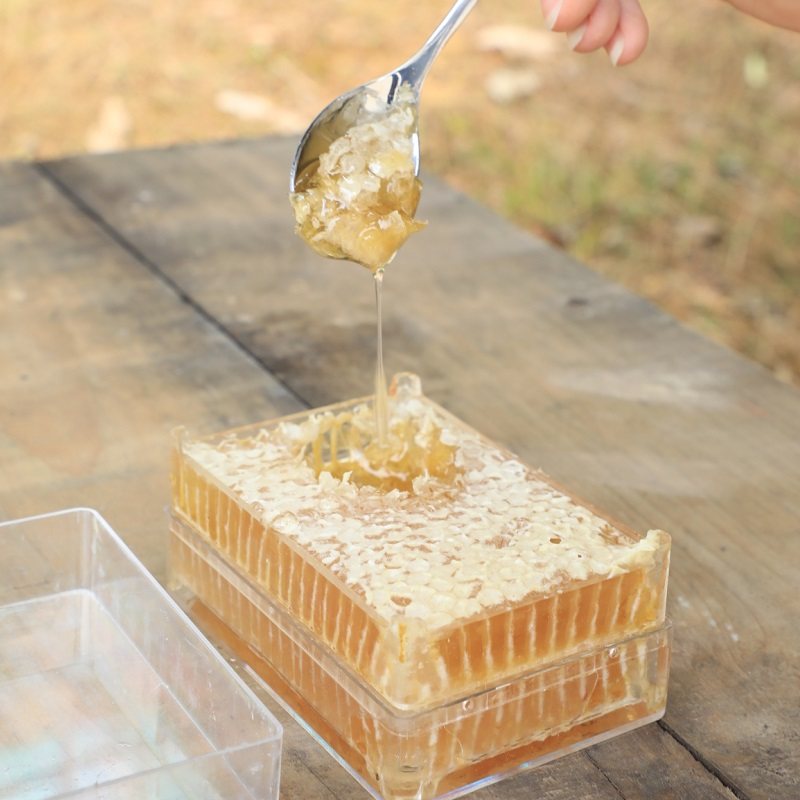 商品图片肆時滋葆 山林蜜语位于广东省广州市,一起提供15个产品的销售