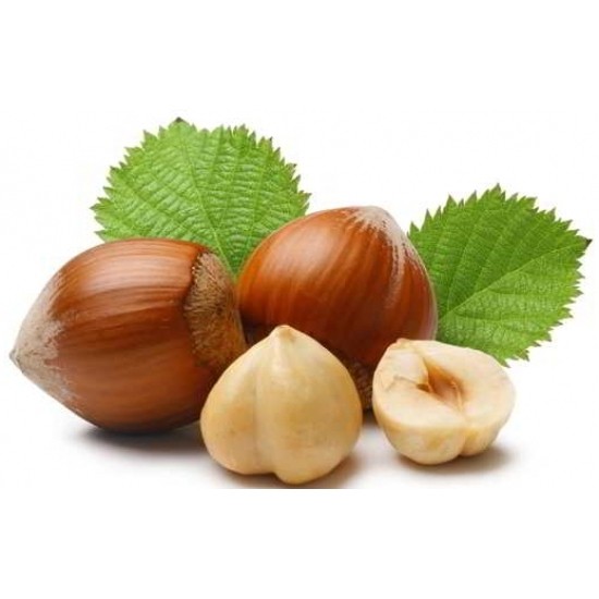 土耳其进口榛子500g罐装原味孕妇坚果烘培原料榛子