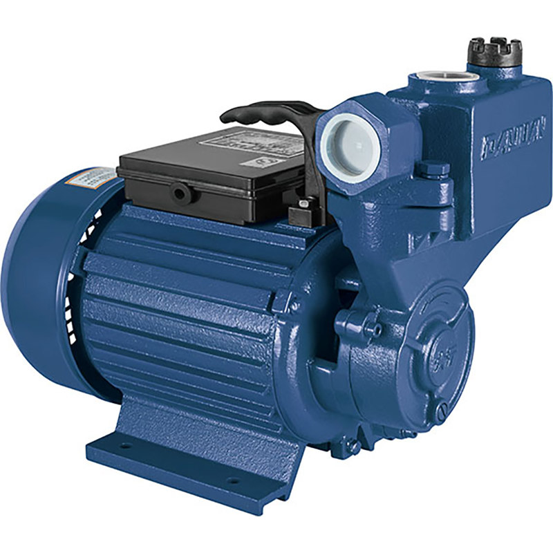 水泵浙江大元自吸家用管道自来水增压泵抽加压水泵