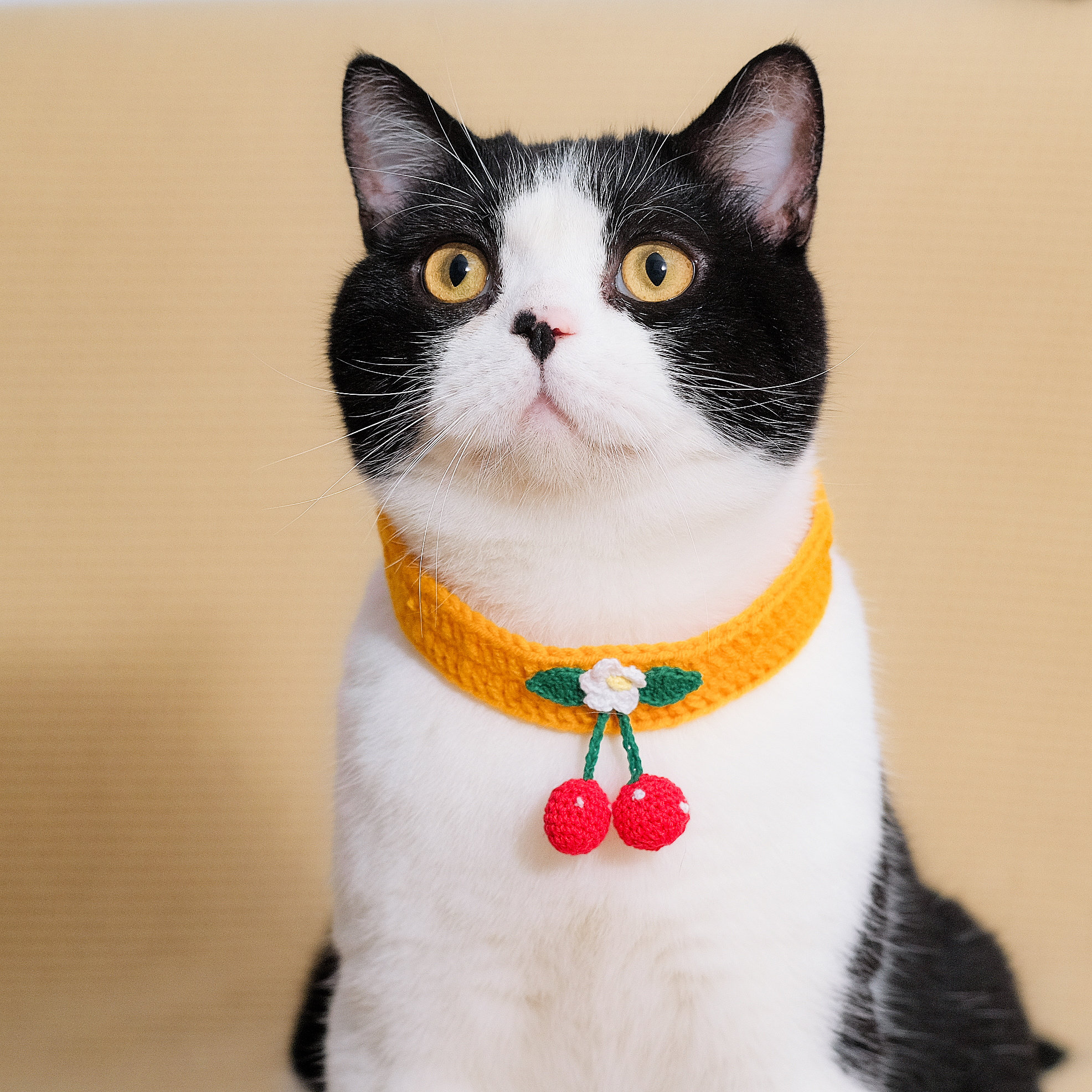 新品包樱桃品美饰品围脖项圈宠物毛线针织手工项圈