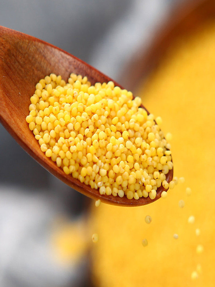 精品黄小米粥小黄米新48斤东北特产2020农家小米