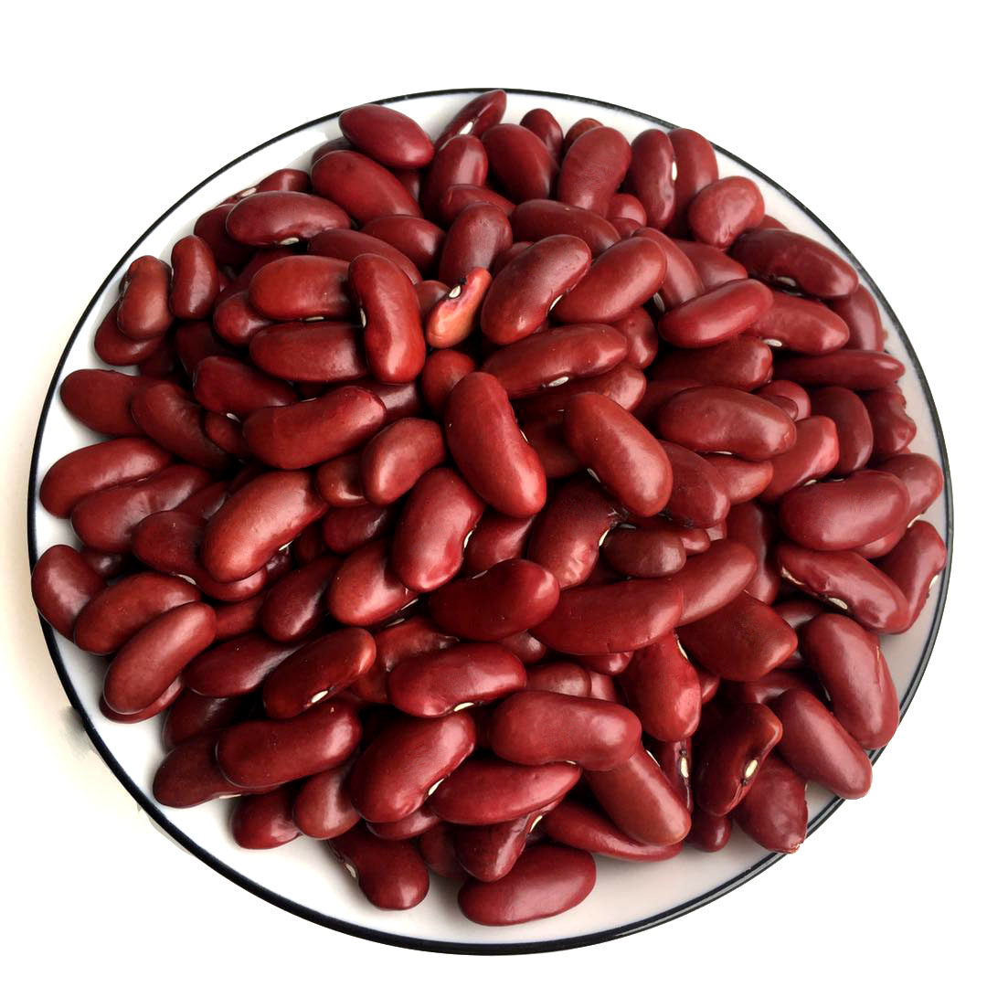 芸豆500g一斤红腰豆肾豆大五谷杂粮大红红豆熬粥其它粮食