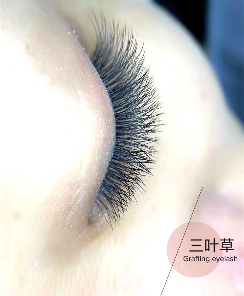 睫毛嫁接软水浓密毛浓密水貂海神浓密型0.04三叶草化妆