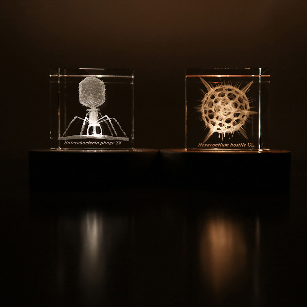 日本进口宙solacubemicro激光雕刻微生物立方体科教普模型摆件
