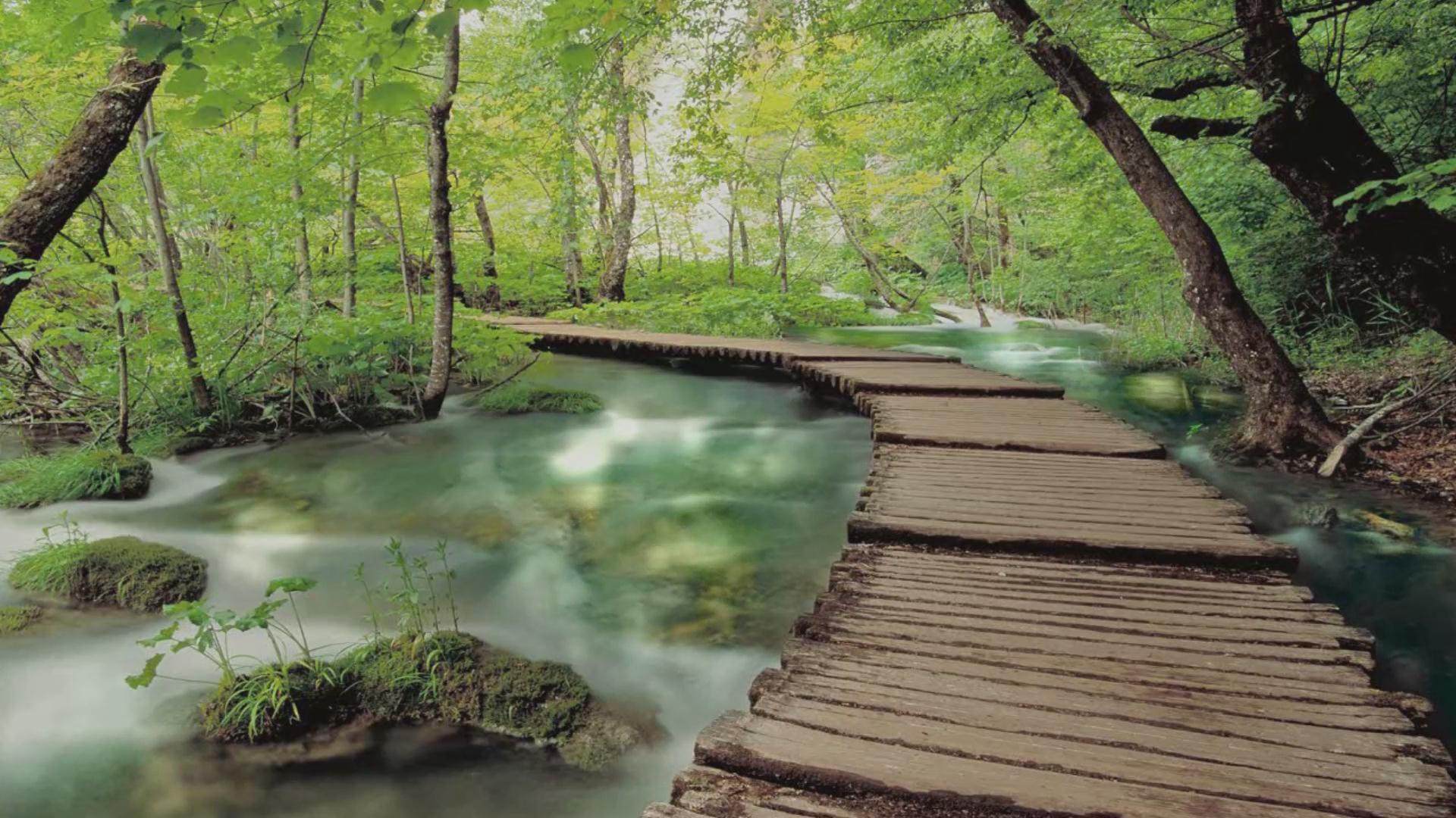 太极激烈动作表演背景视频演出舞台舞美画面设计素材