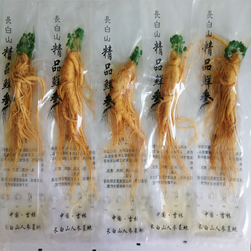 东北人参野山参长白山足干6-7年无硫生晒人参500g35支原皮白参