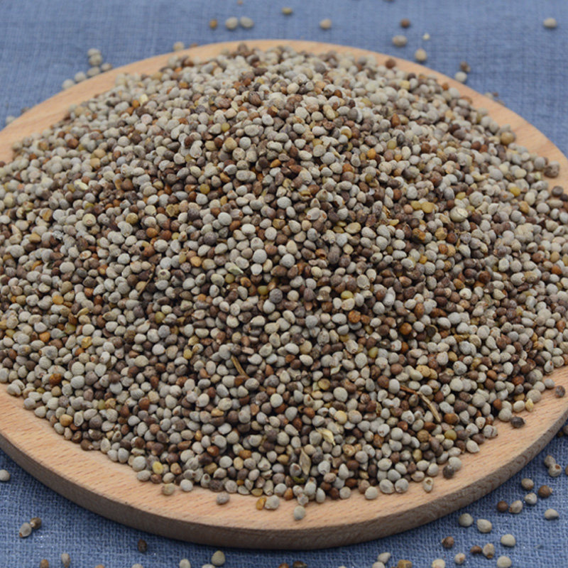 白苏五斤全国黄雀芙蓉金丝雀鹦鹉鸟粮鸟食软苏鸟食