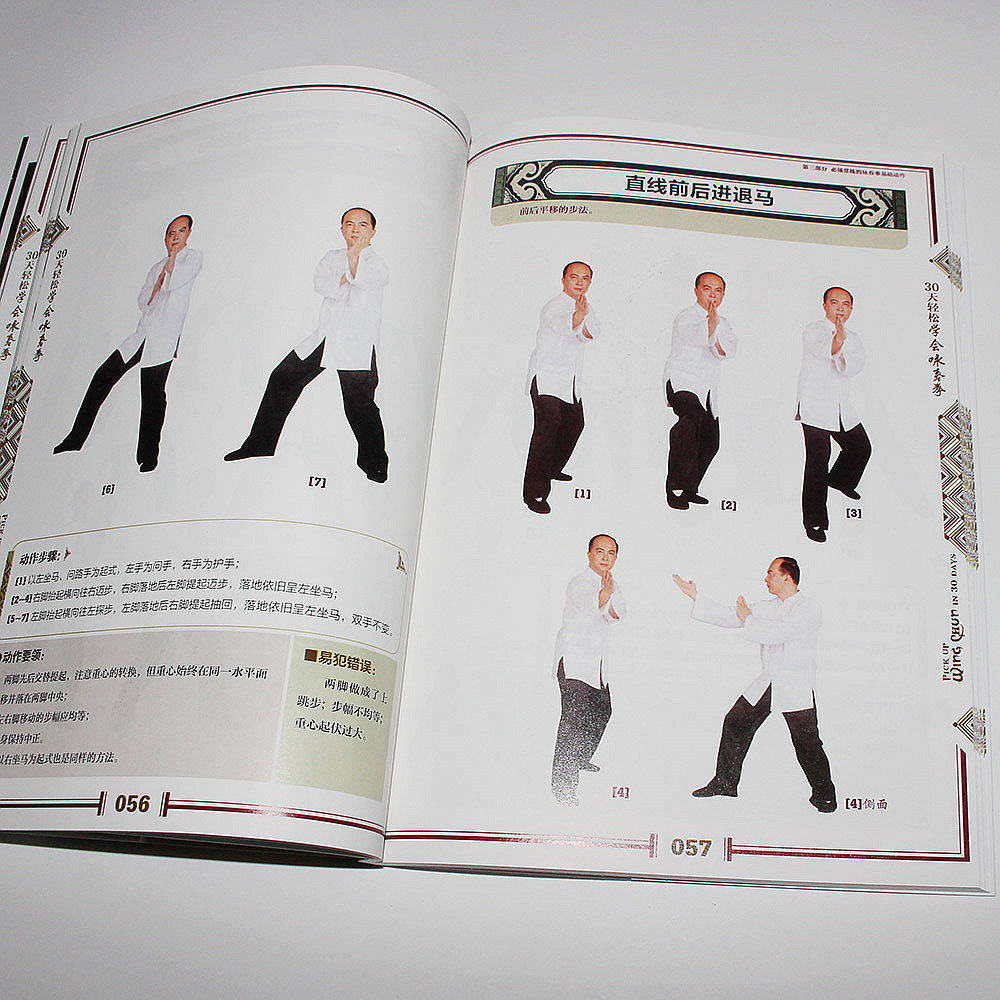 30天轻松学会咏春拳 零基础初学自学咏春拳教材书籍 叶问咏春拳手法