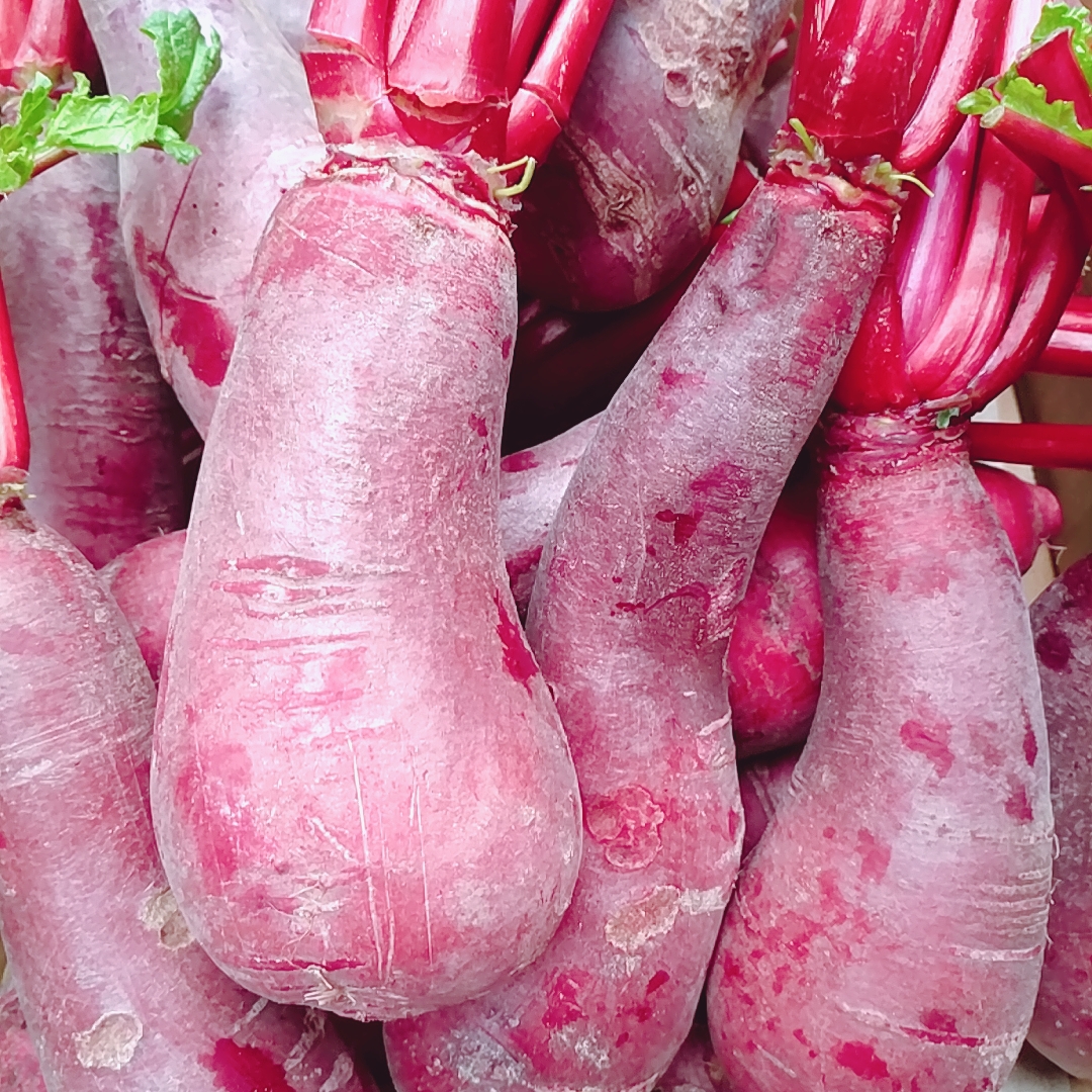 泡菜萝卜涪陵特产红萝卜新鲜红皮红心5斤红水萝卜