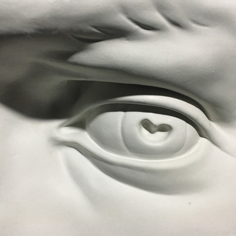 石膏五官像实面眼耳鼻模型素描静物白模填色