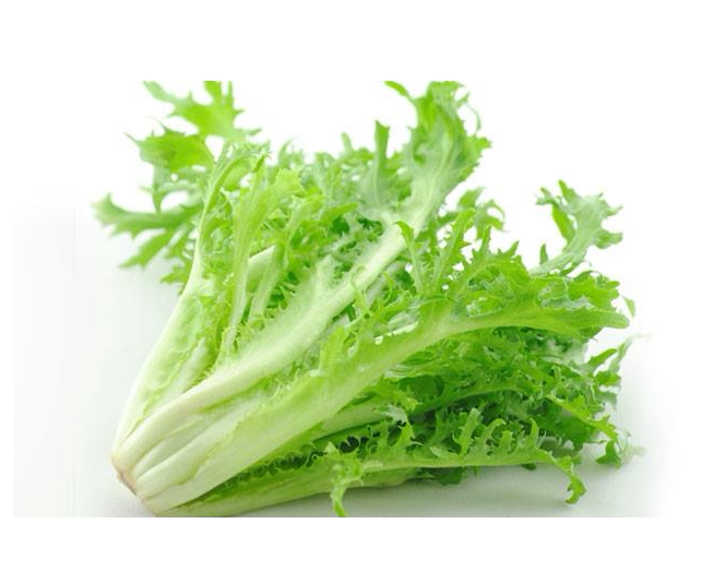 新鲜蔬菜苦菊狗牙生菜500g沙拉即食农家现采重庆四川满69顺丰 包邮