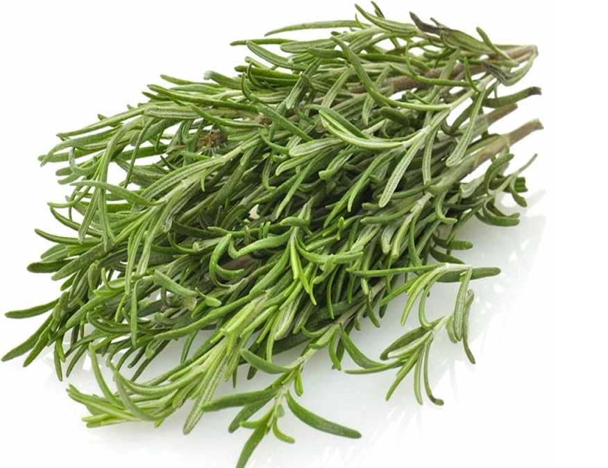 人唯新鲜迷迭香去腥增香香料烧烤烘焙调酒250g其它