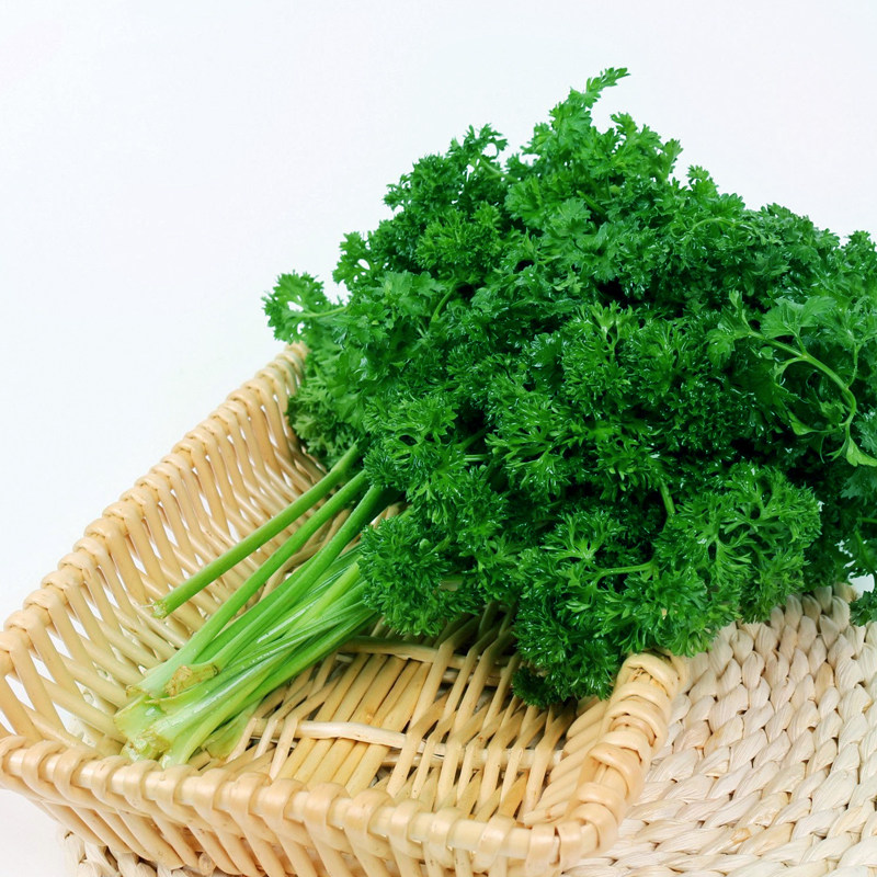 饰摆盘重庆四川满69顺丰 新鲜法香荷兰芹方西番西250g装 包邮 现摘