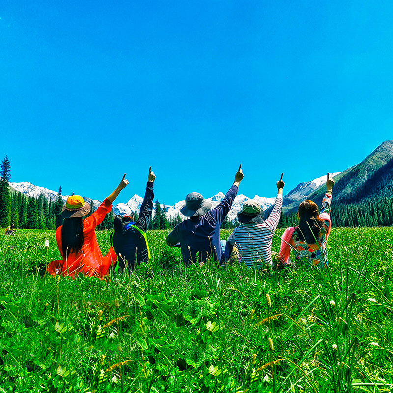 伊犁全景独库旅拍赛里木湖喀拉薰衣草新疆旅游纯玩境内跟团游