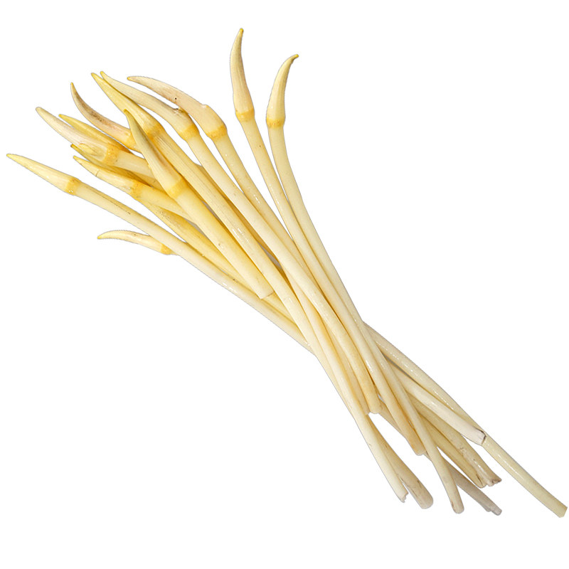 顺丰空运洪湖新鲜藕带嫩藕湖北省特产莲藕带藕莲藕