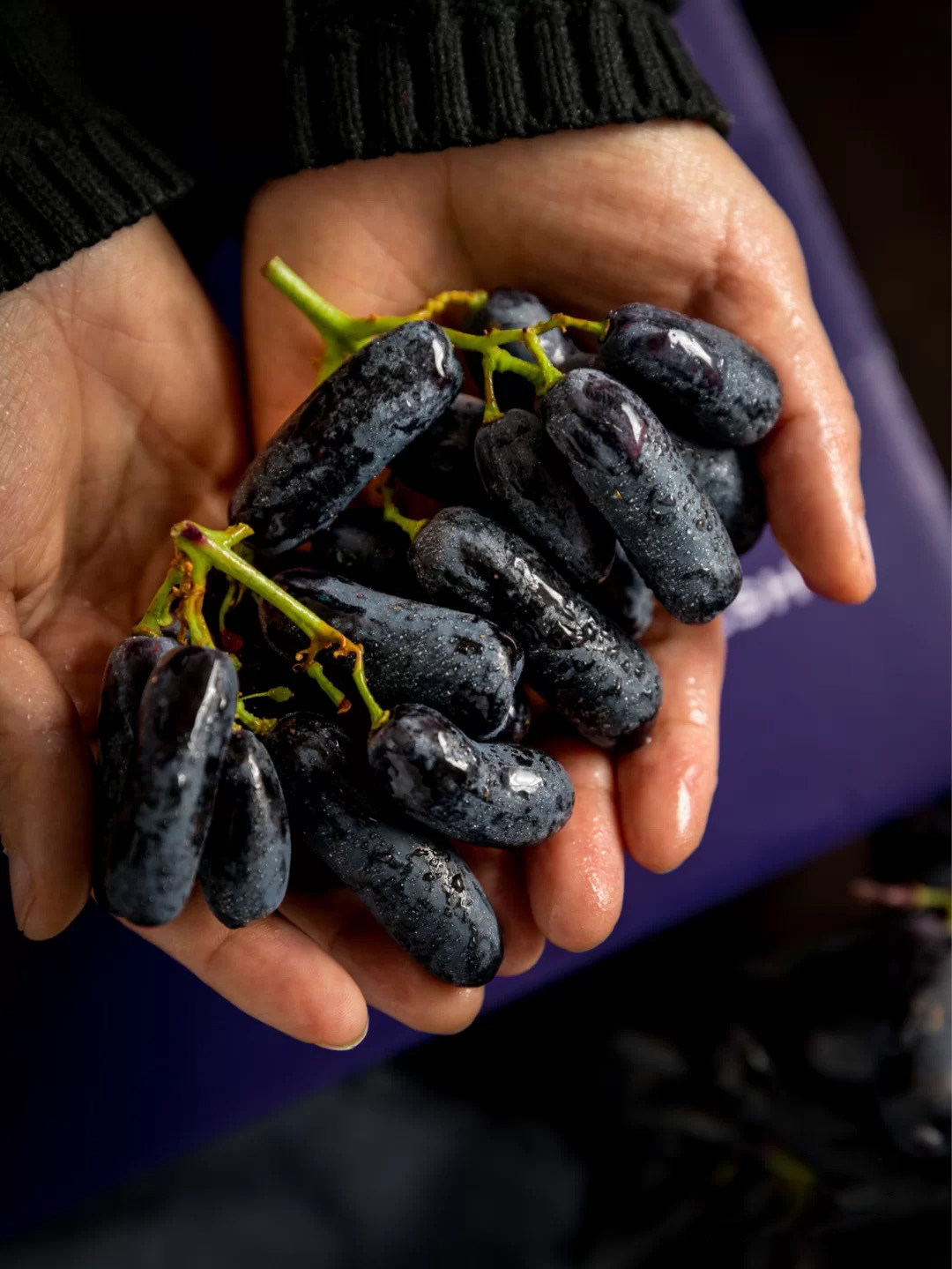 甜蜜蓝宝石美人葡萄金手指无籽提子孕妇水果中秋葡萄