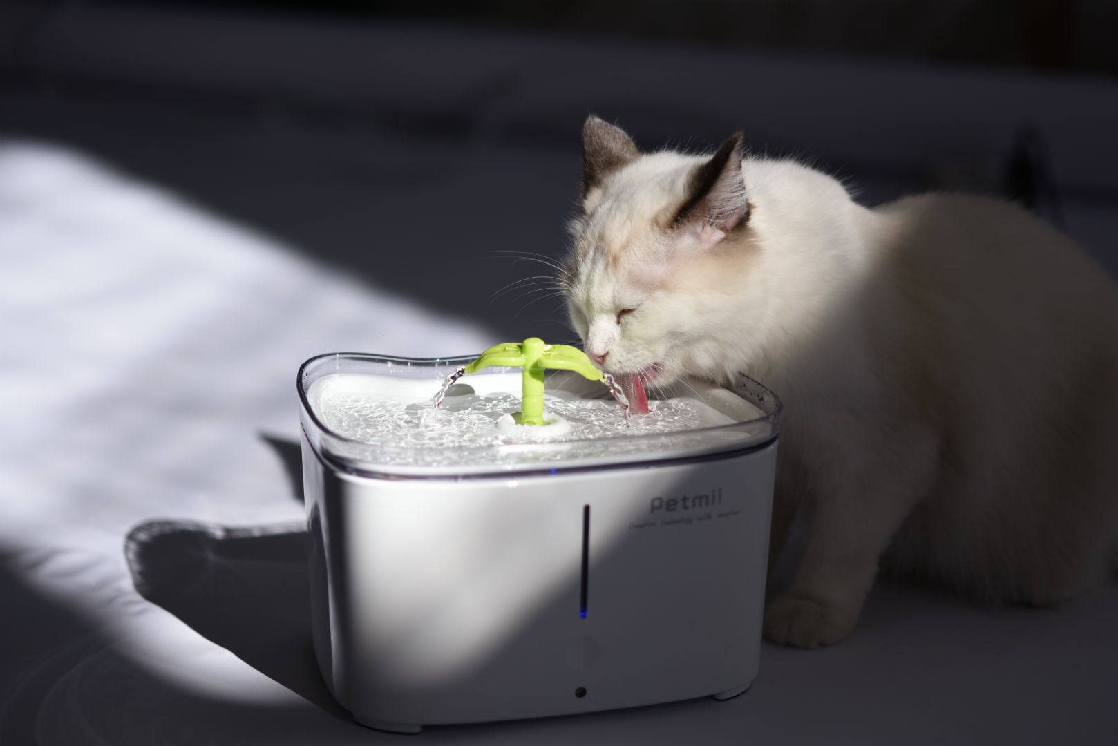 petmii遇见宠物饮水机自动循环流动活水喷泉猫狗饮水器