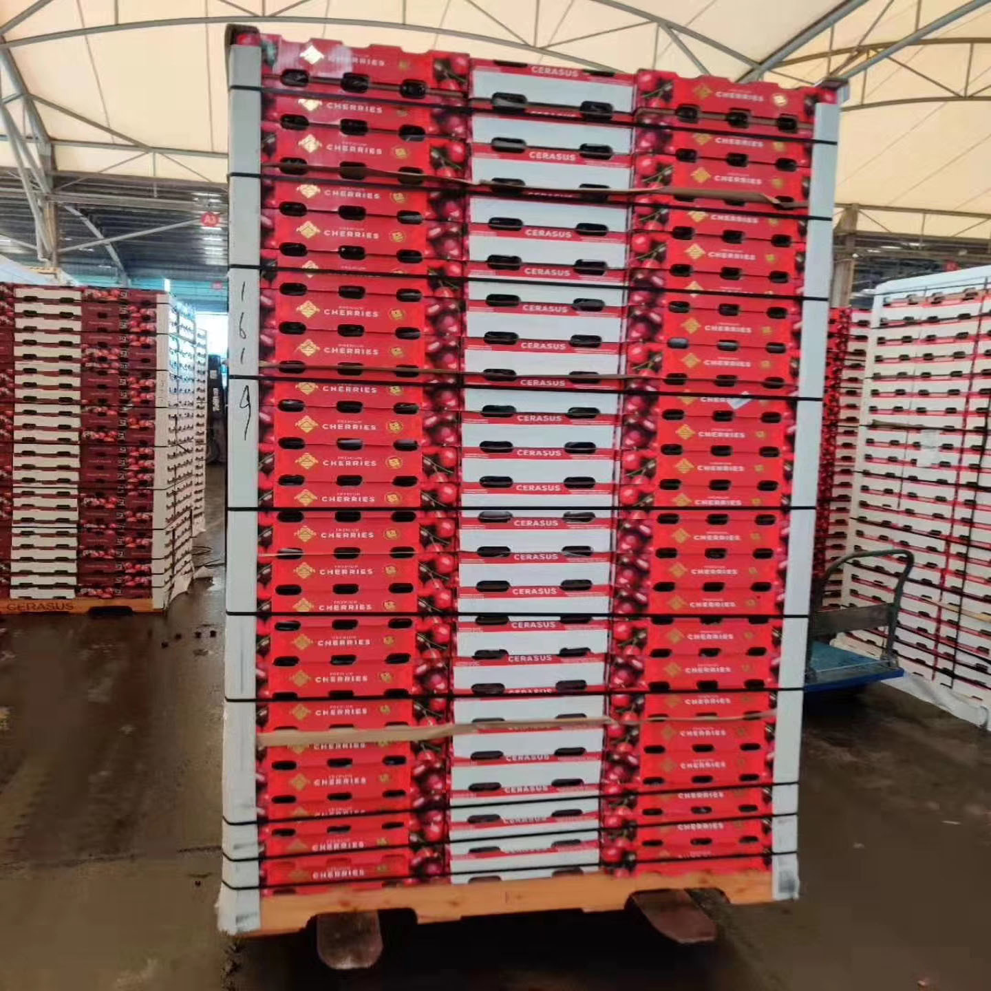现货智利车厘子10斤原箱进口樱桃礼盒新鲜水果车厘子