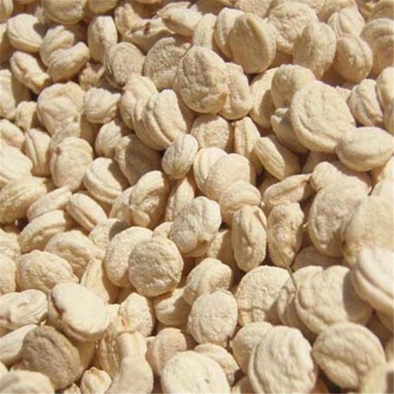 【100粒包邮】野山参种子人参种子山参满5份包邮(一份20粒)