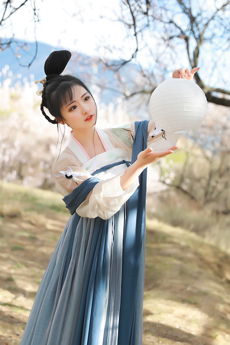 逍遥客绣花汉元素唐制复古日常汉服女装雪纺对襟上襦齐胸襦裙女夏
