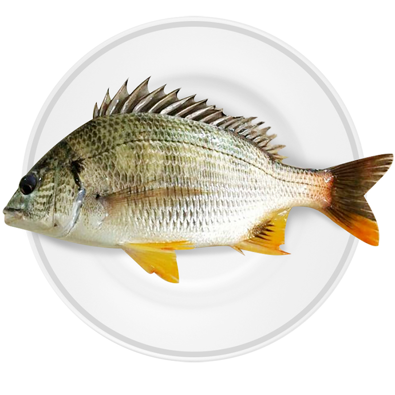 逃跑鲜生黄翅鱼黄刺鱼东山野生海鲜活冻海钓新鲜速冻冷冻2条共1斤