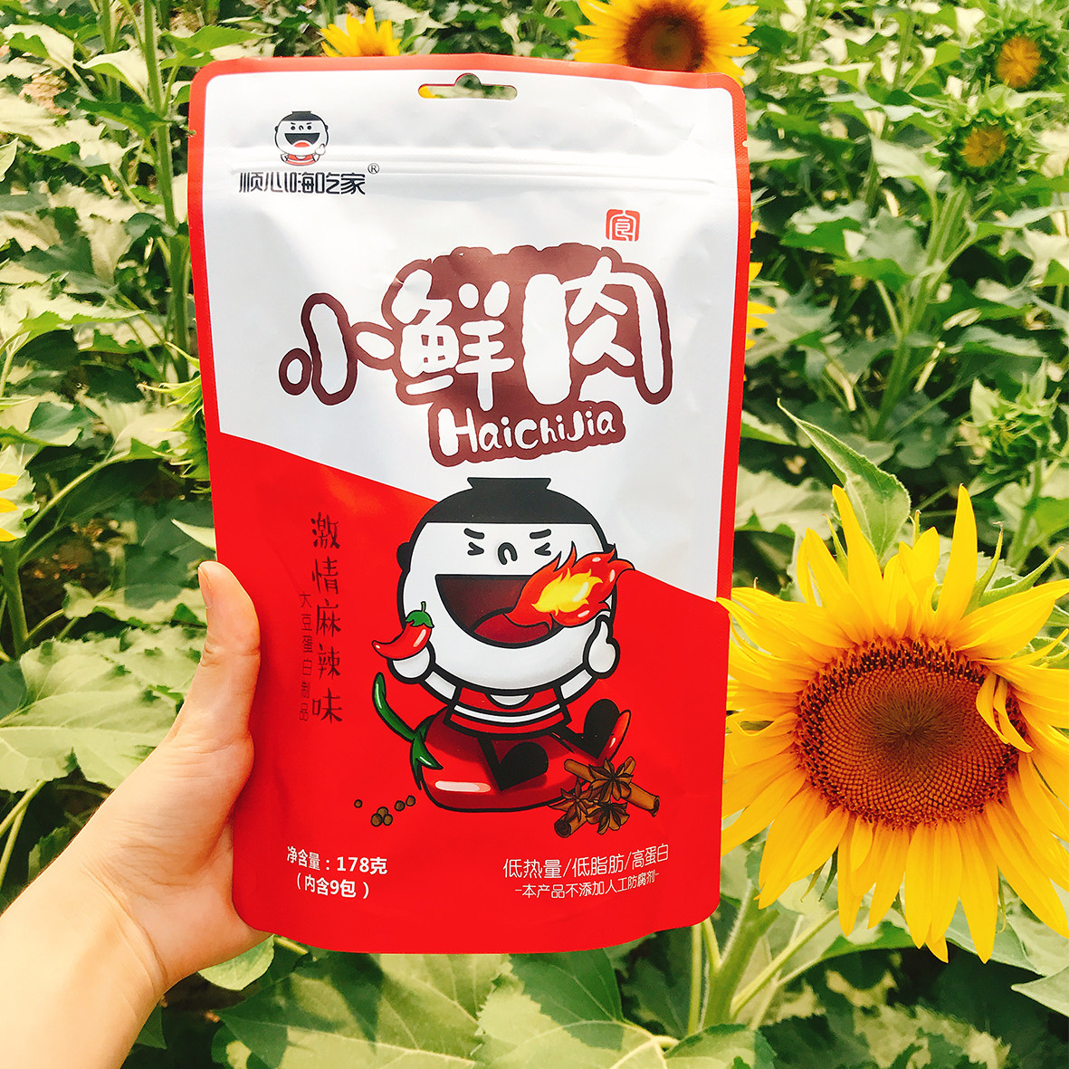 嗨吃家小鲜肉顺心手撕素肉吃的零食小吃豆干食品小零食27小包装