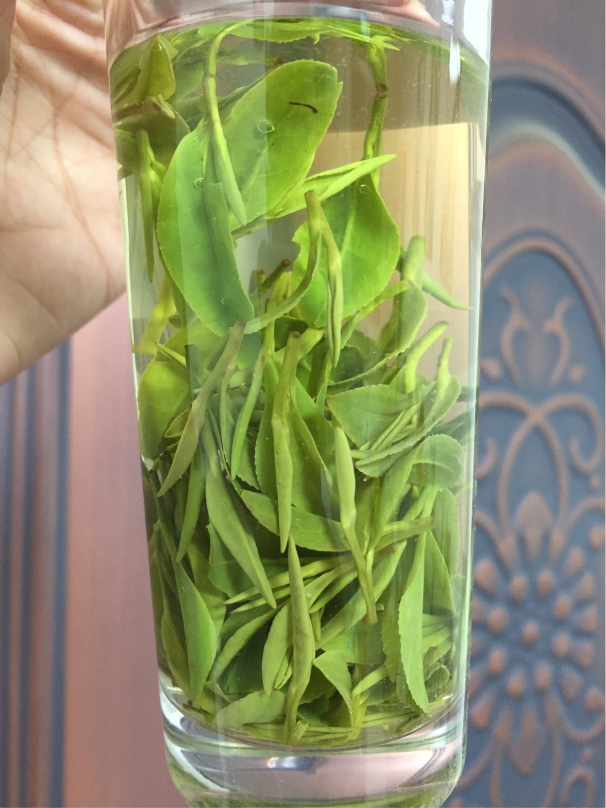 松阳白茶绿茶浓香香型2022年新茶半斤250g茶叶其它绿茶