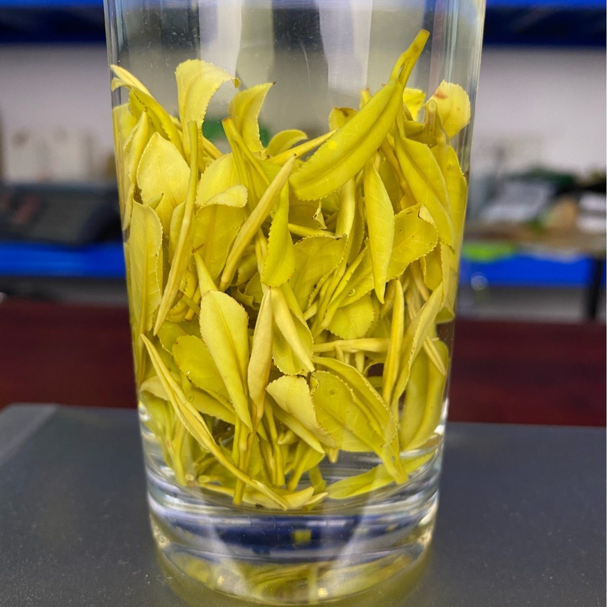 浙江茶叶金叶黄金叶春茶绿茶金牙松阳白茶黄清香其它绿茶