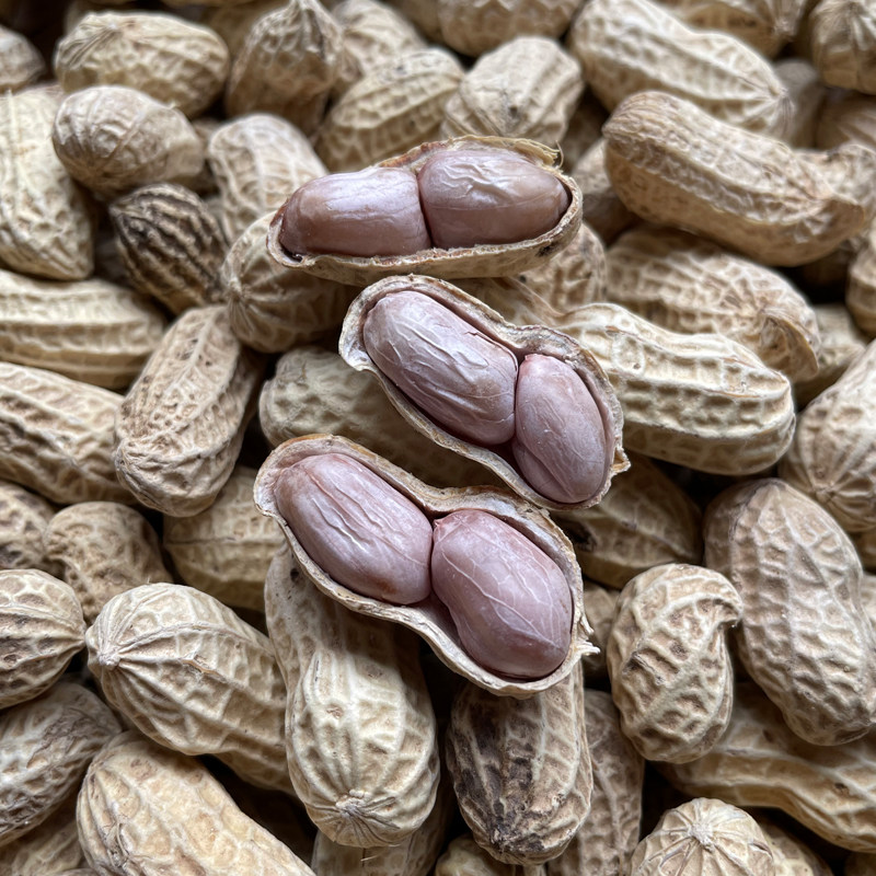 花生新散咸干特产2斤熟带原味农家正宗晒盐花生