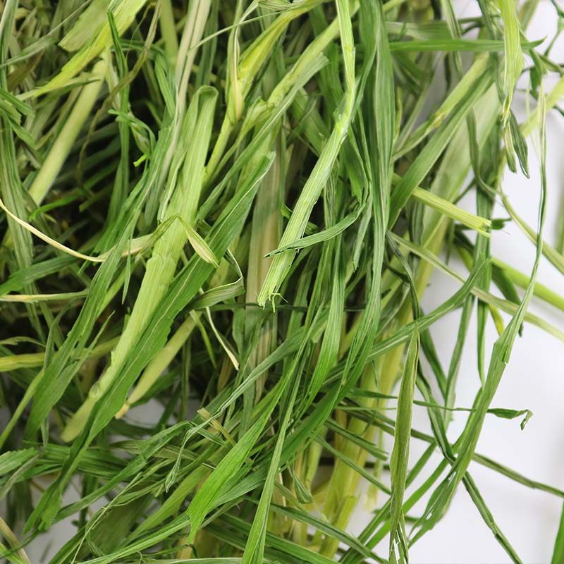 2019年烘烤提摩西草500g兔子提莫西龙猫干草荷兰猪提木西 5斤包邮