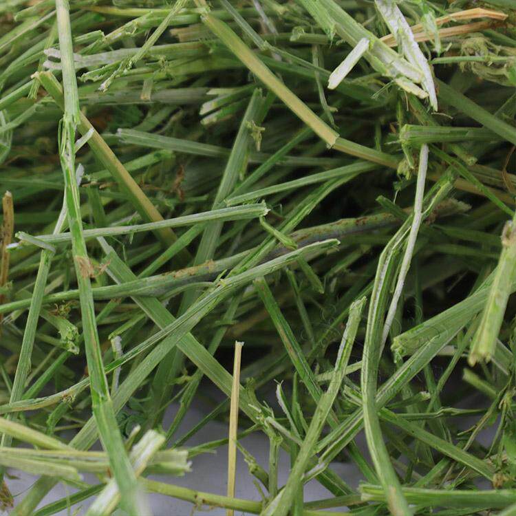 2019年新草苜蓿草杆子磨牙草杆龙猫磨牙专用草 烘干草杆250g