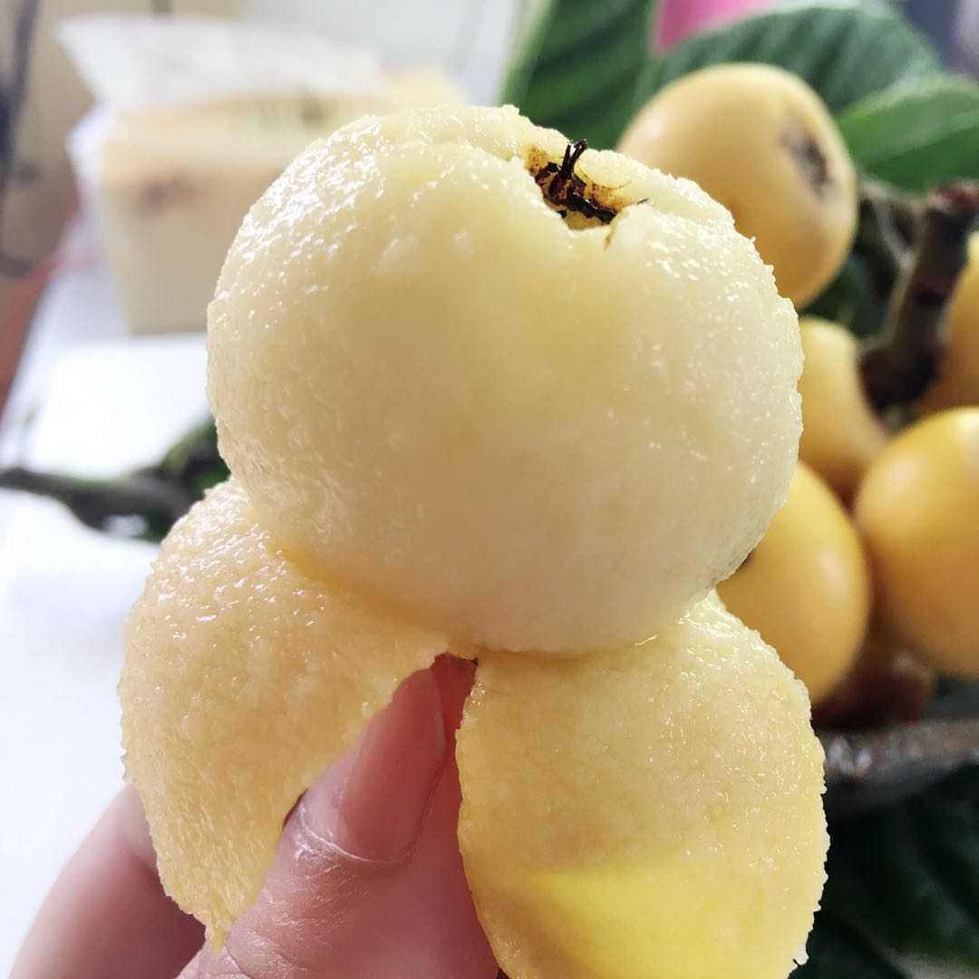 超甜苏州东山白玉白沙枇杷果新鲜水果5斤装应季当季整箱礼盒琵琶