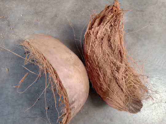 海南新鲜椰子皮椰皮椰壳青竹养殖饲料椰子椰糠饲料原料