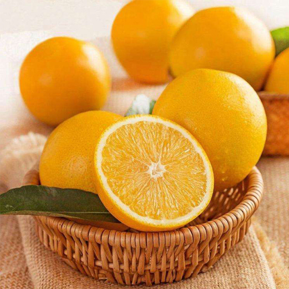 【坏果包赔】麻阳冰糖橙5斤_热品库_性价比 省钱购