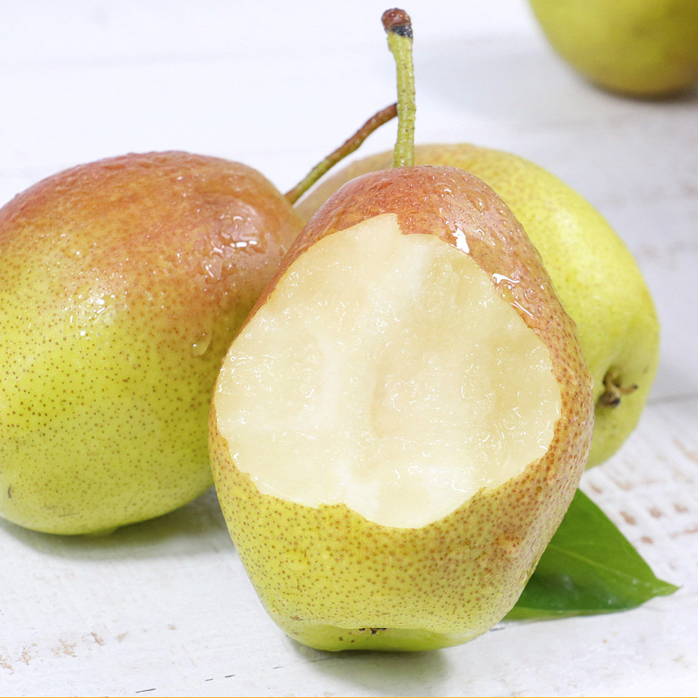 应季新鲜红香酥梨10斤现摘现发