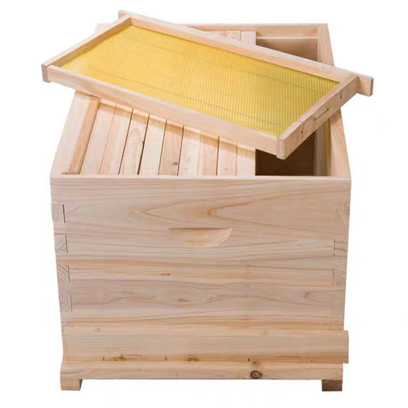带框巢础全杉木中蜂意蜂成品巢框半成品巢框蜜蜂巢脾八千巢