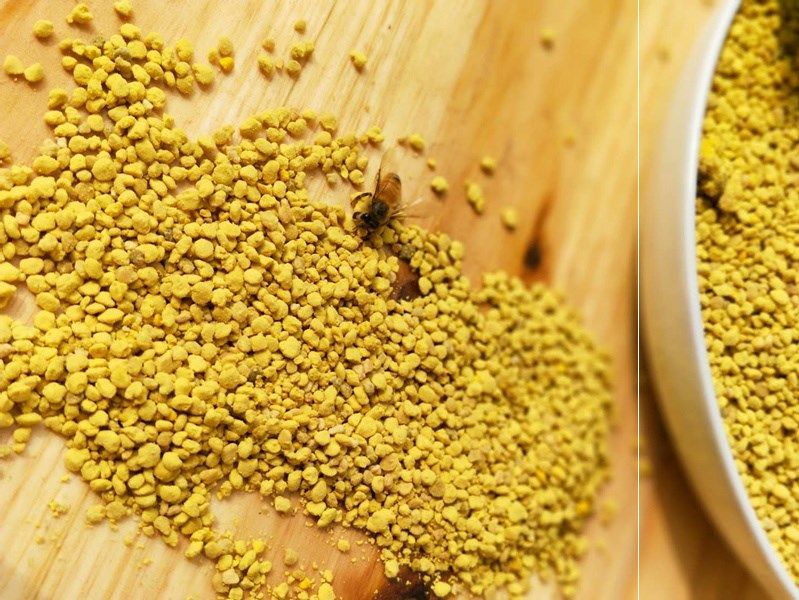 油菜颗粒花粉繁蜂喂蜂花粉蜜蜂饲料油菜纯粉天然青海油菜花粉包