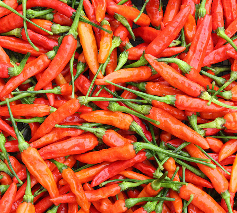 辣椒酱韶关南雄赖记土特产新鲜辣椒下饭蒜蓉香辣其它干货