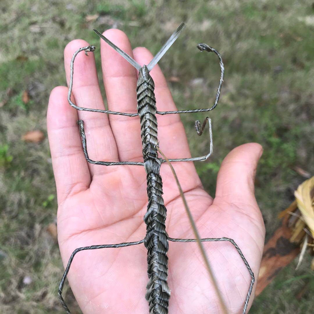 草编动物竹节节虫幼儿园看图识物手工手工制制作其他