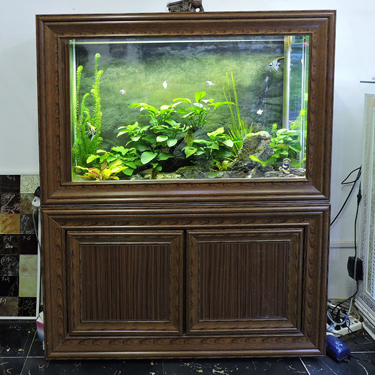龙鱼缸家用长方形中大12米滤柜木底仿实水族箱免换桌面缸