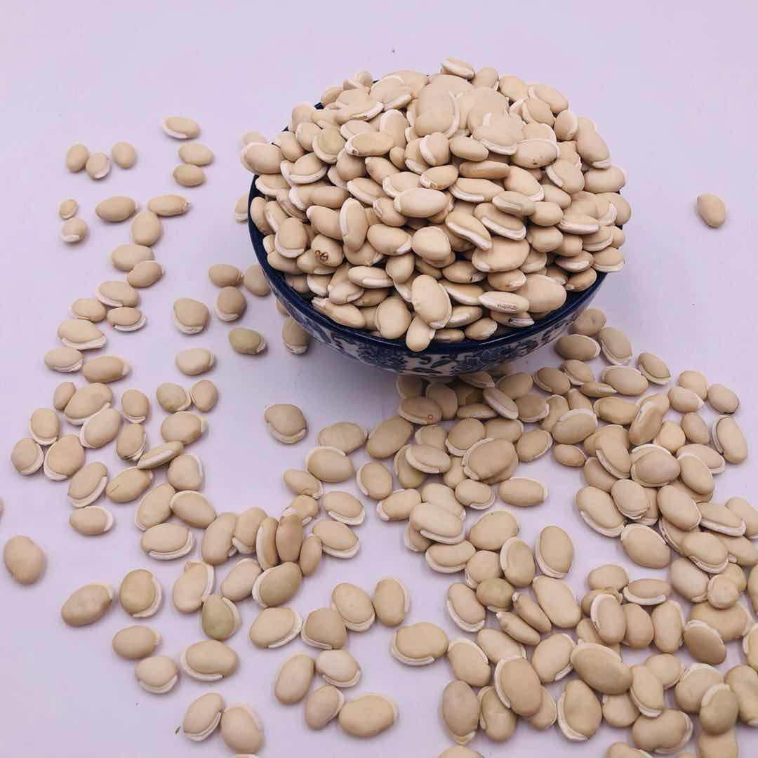 扁豆白扁豆白豆豆包炒白另有煮粥煲汤药用小白白扁豆