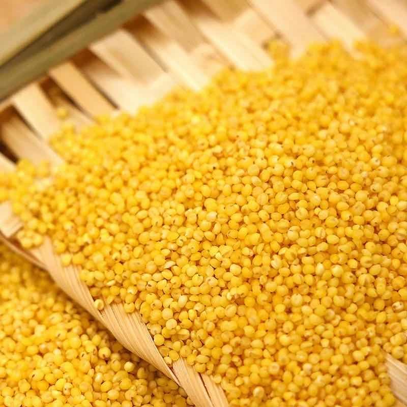 小米陕北自种桃花杂粮黄小米米粥农家特产米小小米