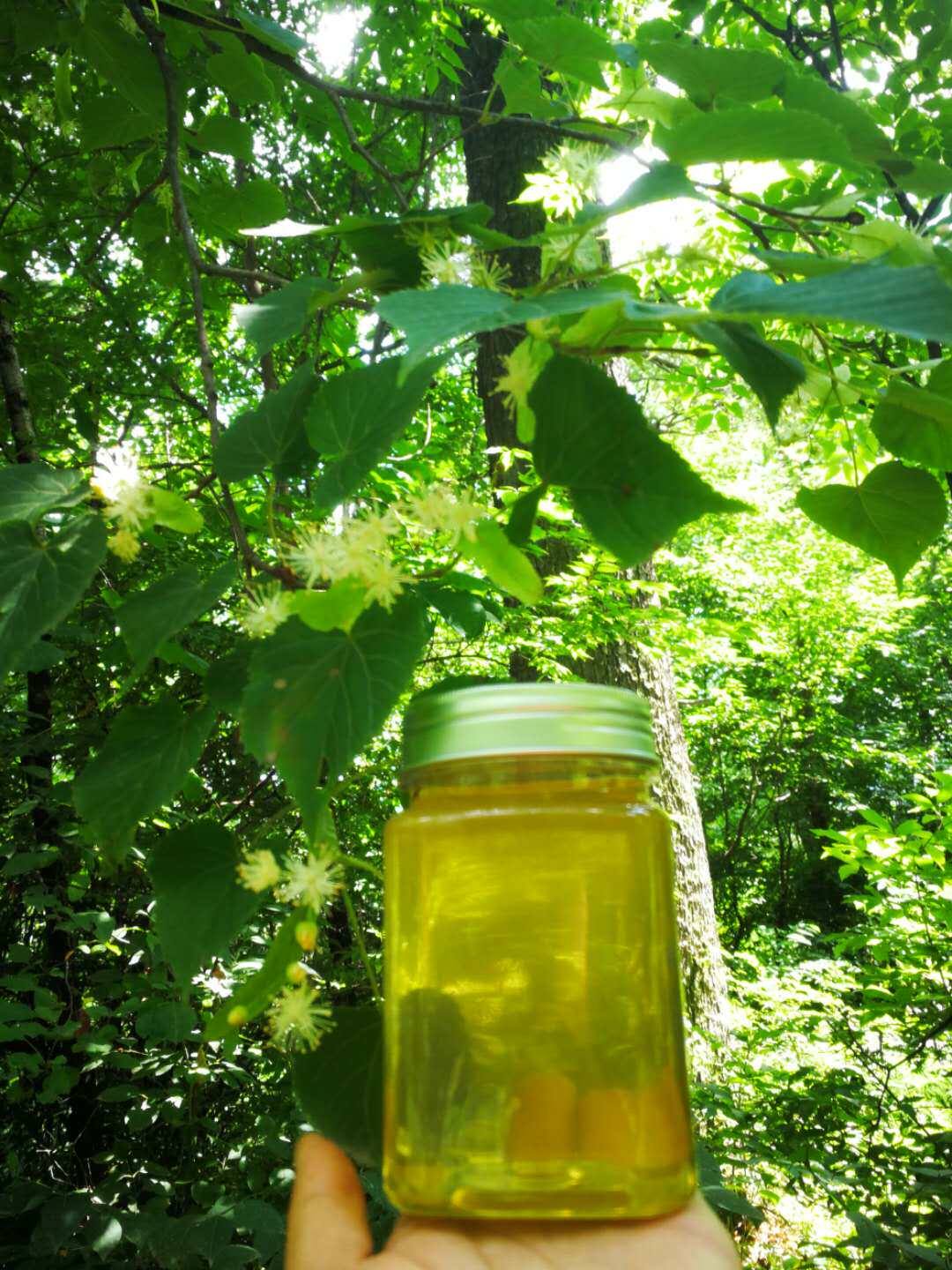 长白山原蜜百花蜜蜂蜜农家自产山花蜜土蜂蜜成熟蜜500g包邮