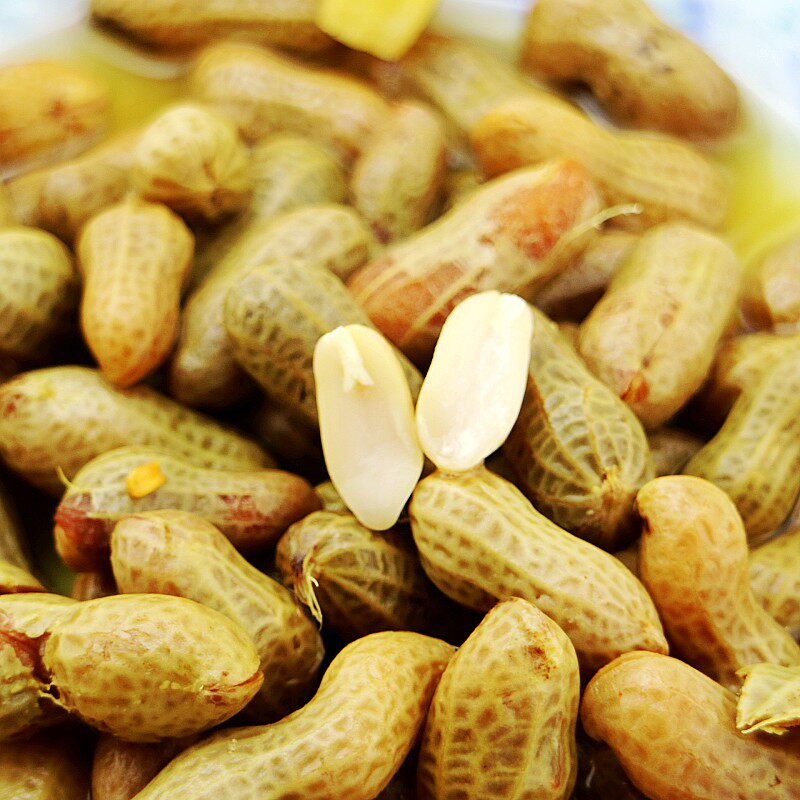 花生水煮湿下酒菜零食小吃卤味五香带壳卤香花生